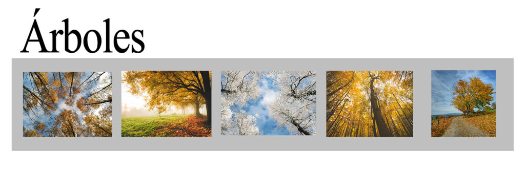 Cuadros de arboles