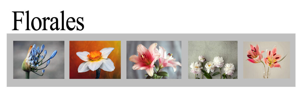 Cuadros florales